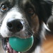 Judy Ball Photo 5