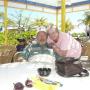 Joann Green Photo 32