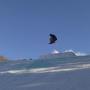 James Macintyre Photo 23