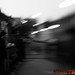 Fredric Stone Photo 13