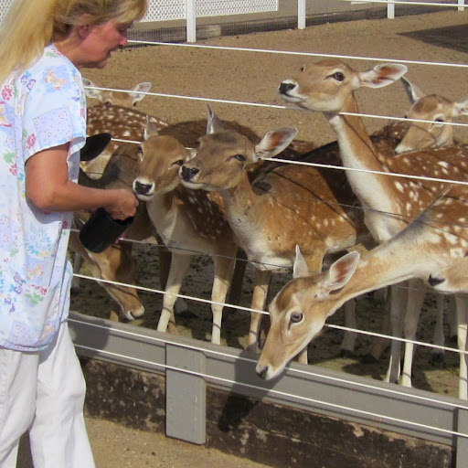 Debra Gossett Photo 11