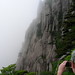 Lisa Huang Photo 2