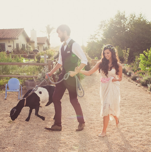 Alison Graham Photo 32