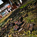 Gary Block Photo 16