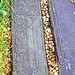 Donald Iles Photo 3