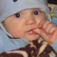 Joshua Hayden Photo 8