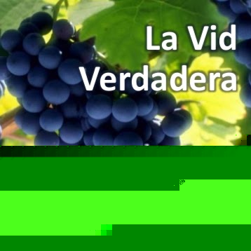 Carlos Aguilera Photo 15