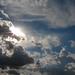 Constance Wright Photo 20
