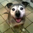 Allison Kunze Photo 5