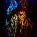Davey Jones Photo 29