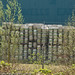 Charles Bedford Photo 8