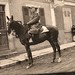 Charles Ross Photo 41