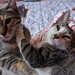 Gina Gray Photo 42