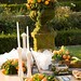 Lisa Henricks Photo 13