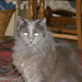 Scot Conner Photo 11