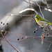 Nancy Finch Photo 18