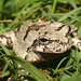 Corey Cope Photo 12