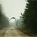 Rebecca Mallard Photo 13
