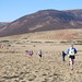 David Buchan Photo 28