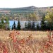 George Tabor Photo 21