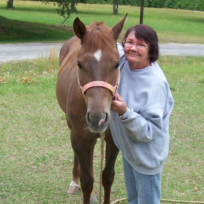 Lisa Wilkes Photo 31