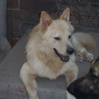 Joe Wilkerson Photo 23