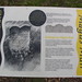 James Weddell Photo 7