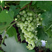 Sandra Vines Photo 15