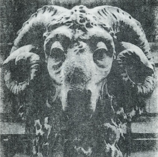 Robert Lichtenstein Photo 15