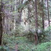 Fred Swanson Photo 15