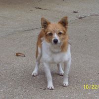 Dorothy Mcnutt Photo 6