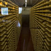 Meredith Roth Photo 19