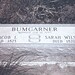 Elizabeth Bumgarner Photo 26