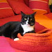 Kitty Sherman Photo 9
