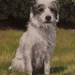 Debra Russell Photo 9