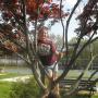 Jessi Robinson Photo 22