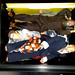 Ray Franz Photo 12