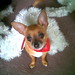 Tia Garland Photo 9