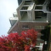 Linda Carpenter Photo 13