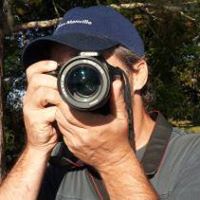 Allen Billings Photo 11