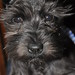 Abbie Mckinney Photo 11
