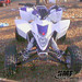 Blake Johnson Photo 47