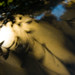 Leslie Hedges Photo 14