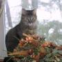 Anne Gray Photo 21