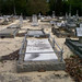 Frances Hopson Photo 8
