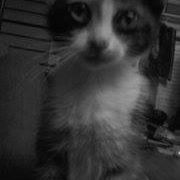 Andrea Goins Photo 26