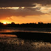 Victoria Lake Photo 16