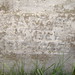 Martin Snyder Photo 22