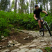 Lyle Andersen Photo 2