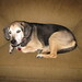 Spencer Jackson Photo 32